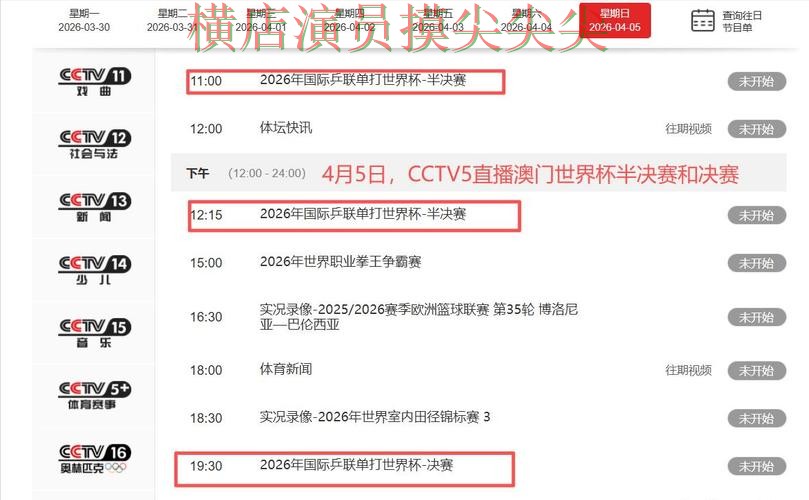 世界杯竞猜网站实测对比报告：直播入口与实际体验总结 - 世界杯直播
